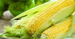 5 lý do bất ngờ khiến bạn phải thường xuyên ăn ngô vào mỗi sáng, vừa tốt cho sức khỏe, vừa hiệu quả trong làm đẹp