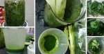 Bụng trương béo vì ăn uống bừa bãi, uống ngay thì này để lọc dạ dày ngay