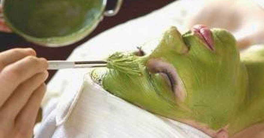 Công thức trị mụn bọc ai làm cũng mê từ lá rau ngót quen thuộc