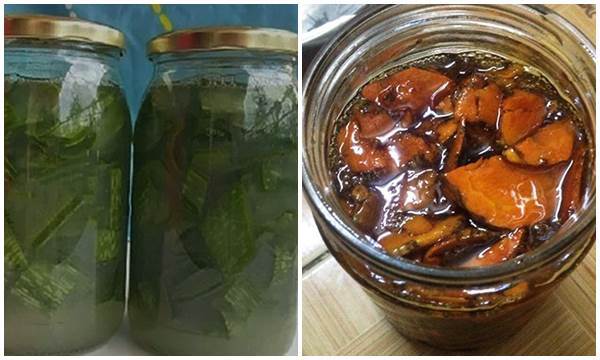 Thoa 5 giọt này trước khi đi ngủ, sau 1 đêm da mướt mịn, càng sờ càng thích