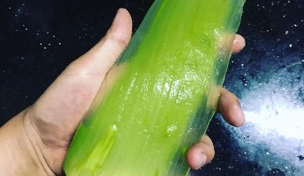 Nha đam tốt 1 nhưng nếu làm đông lạnh sẽ tốt 10, làm như thế này để biến da đen bẩm sinh cũng trắng bóc, căng mịn như em bé