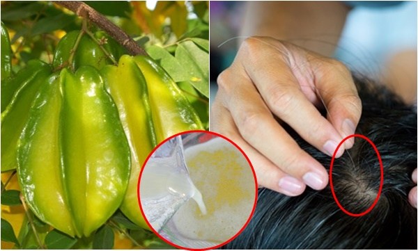 Mắc chứng tóc bạc sớm thì bạn nên đọc ngay bài viết này, đây là cách giúp tóc đen và suôn mượt trở lại hiệu quả đấy