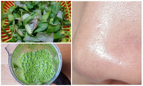 Tốn tiền đi spa làm chi, chăm chỉ giã nát rau răm với thứ này lỗ chân lông to sẽ tự động se khít, da mướt mịn bất ngờ