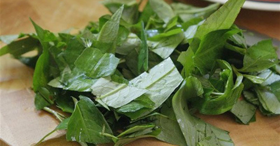 Hãy giã nát rau răm trộn với thứ này lỗ chân lông to sẽ tự động se khít, da trắng mịn bất ngờ