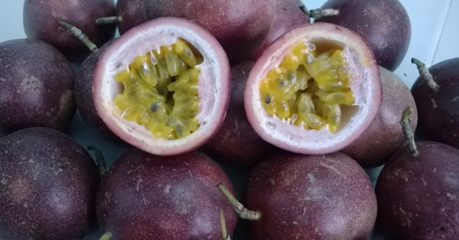 Trị mụn trứng cá siêu hiệu quả bằng nguyên liệu cực rẻ tiền