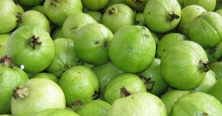 Giảm cân bằng cách ăn ổi trong 1 tuần mà không sợ đau dạ dày hay mất ngủ