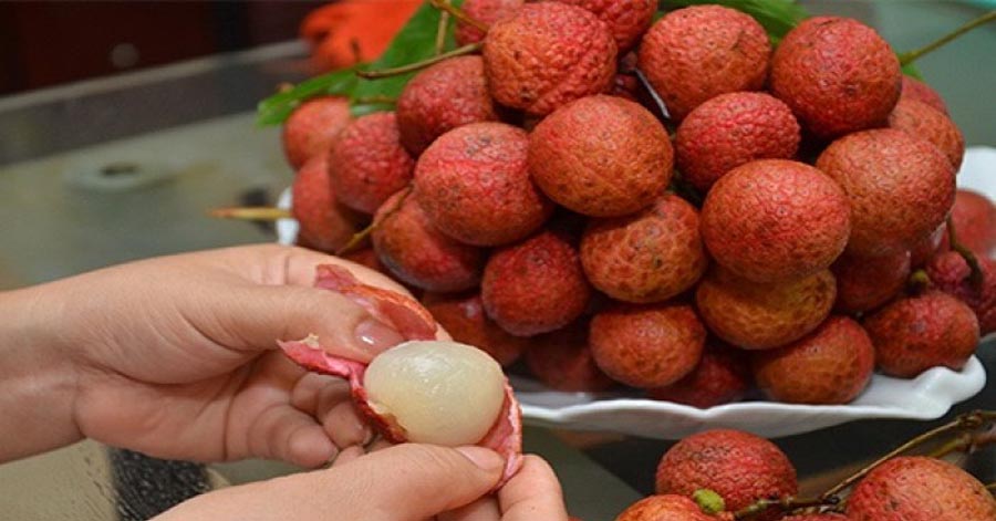 Ăn vải thì nóng nhưng đem nghiền nhuyễn rồi trộn với thứ này đắp lên mặt là da trắng bật 2 tông