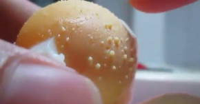 Kết quả bất ngờ khi lăn trứng gà lên mũi, bạn nào bị mụn áp dụng công thức này là mê luôn