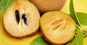 2 công thức độc đáo từ nhựa hồng xiêm giúp bạn tẩy lông hiệu quả bất ngờ