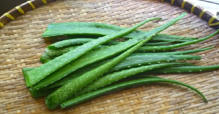 Bôi 1 giọt này lên mặt da mịn màng trẻ hơn 10 tuổi, giảm nếp nhăn rõ rệt