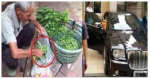 Mua bó rau 5 ngàn nhưng vênh váo đưa 500 ngàn đòi tiền thối, chàng công tử nhà giàu bẽ mặt khi bà cụ nhặt rác làm điều này