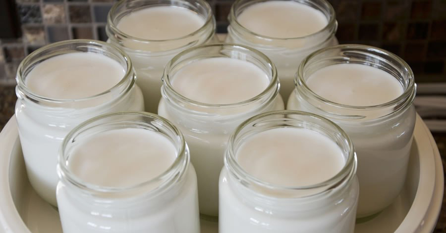 Mỗi ngày ăn 1 túi sữa chua tự làm, sau 7 ngày sẽ giảm cân rõ rệt