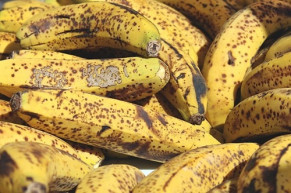 Thấy chuối thâm đen đừng vội vứt nếu không muốn bỏ phí một “tiên dược” trời ban