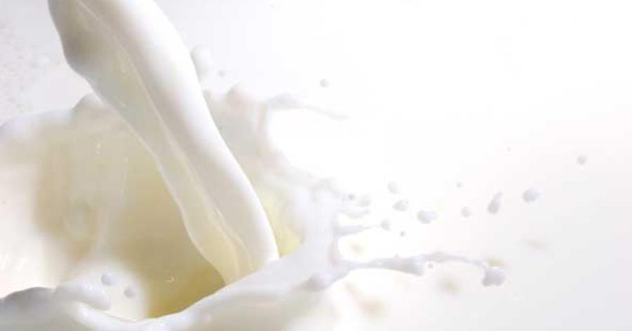 7 loại sữa uống thường xuyên đẹp cả dáng lẫn da, bổ dưỡng cho sức khỏe