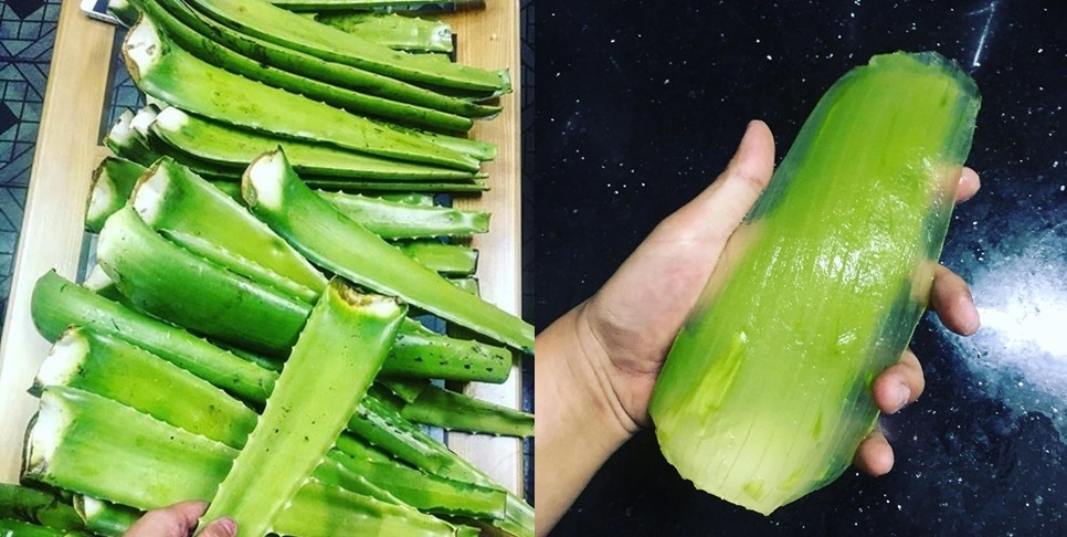 Nha đam đã rất tốt, nhưng mình làm cách này tốt hơn 10 lần, và đã biến da đen bẩm sinh cũng trắng bóc, căng mịn như em bé