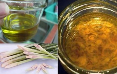 Cây sả – “phép lạ” giúp trị mụn, dưỡng trắng da, giảm cân và rụng tóc