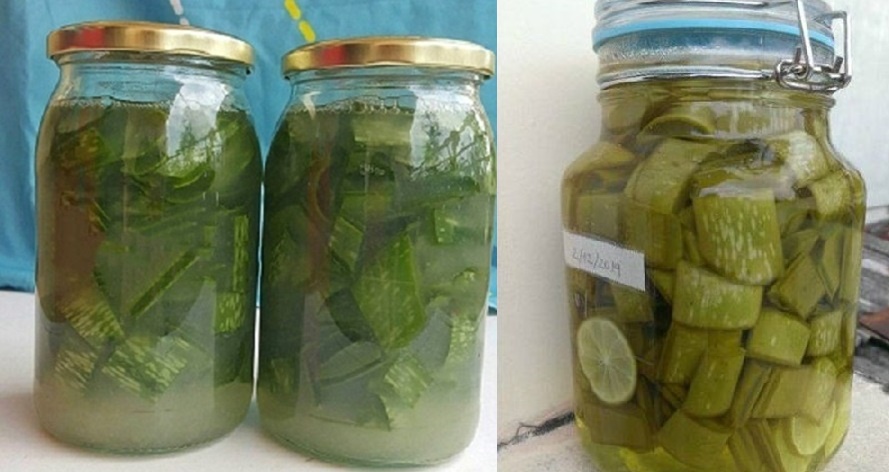 Ngâm 1 lọ nha đam với giấm rồi thoa mỗi tối mà ai nấy đều khen tôi xinh hơn, da trắng mịn như em bé