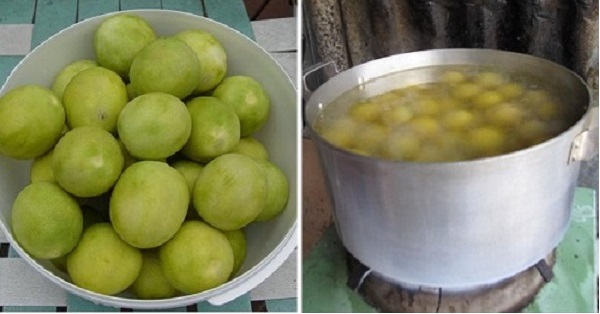 rổ tài với cách làm CHANH MUỐI giải độc cơ thể, giải khát trời nực cực ngon này thôi chị em