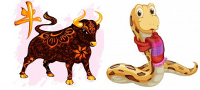 Ngoài tuổi Sửu, đây là 2 con giáp thành công vượt trội nữa cuối năm 2017 khiến ai cũng phải ghen tị