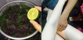 Đun tía tô rồi vắt thêm nước chanh vào để tắm, da trắng mà không lo bắt nắng, hết sạch mụn lưng