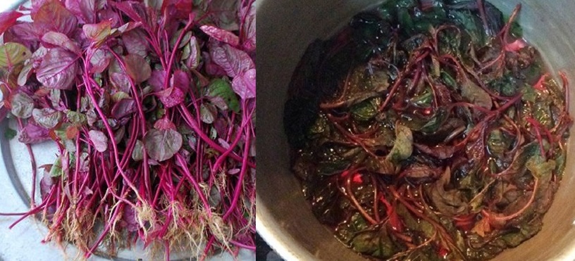 Từng bị chê "đen như cột nhà cháy", em đã lột xác trắng nõn nà nhờ 1 bó rau dền đỏ