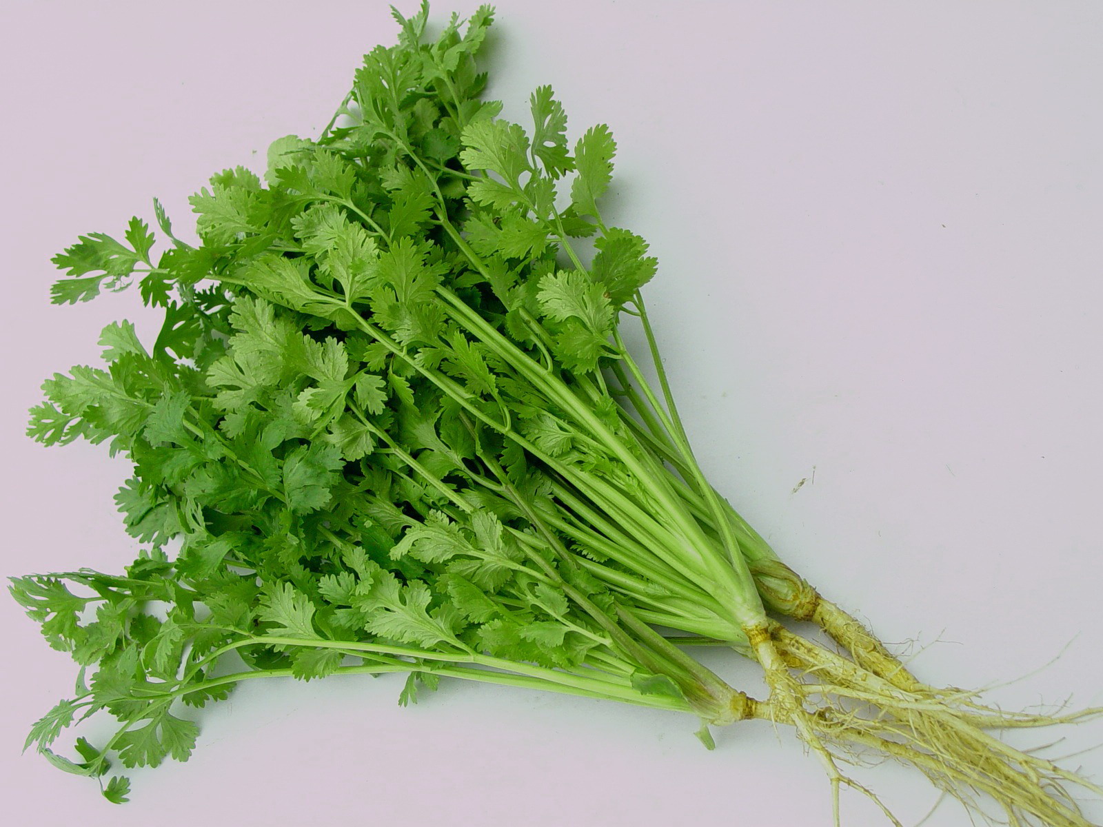 Độc chiêu xóa sổ nám, dưỡng da trắng không tì vết nhờ nắm rau này