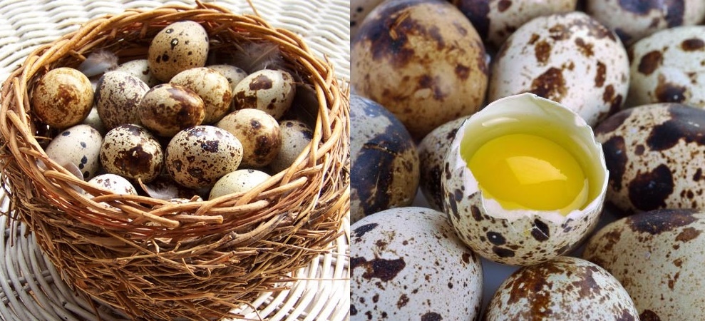 6 CÔNG DỤNG LÀM ĐẸP TUYỆT VỜI TỪ TRỨNG CÚT CHẲNG MẤY AI BIẾT