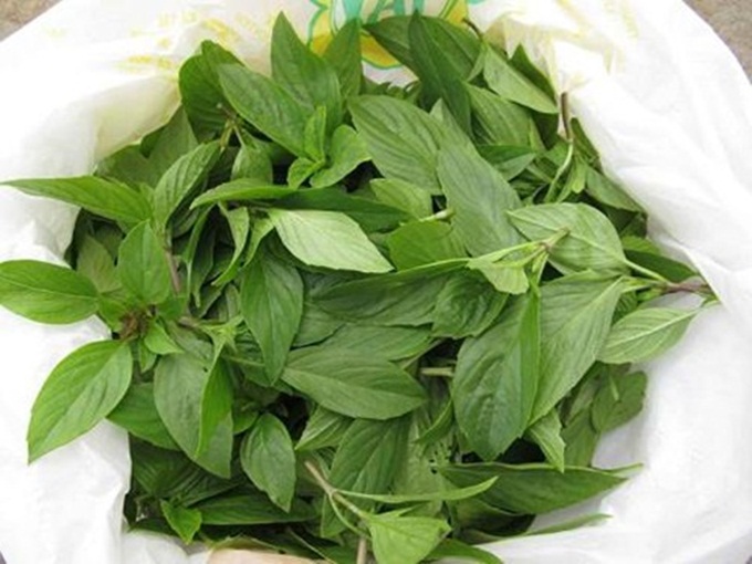 Cao răng bật ra từng mảng, răng trắng như bọc sứ chỉ nhờ nắm lá này