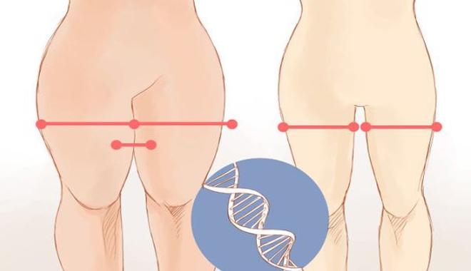 KHOA HỌC CHỨNG MINH: Phụ nữ đùi càng to... CÀNG KHỎE