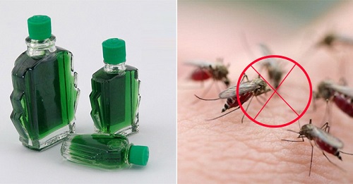 Chỉ cần nhỏ 1 giọt dầu gió vào thứ này, có cho vàng muỗi cũng không dám tới gần để cắn