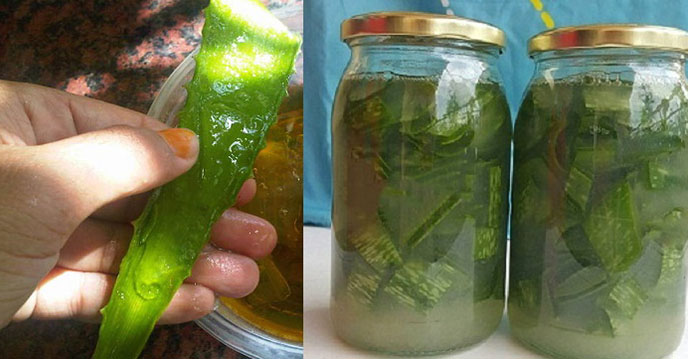 Học phụ nữ Nhật làm hũ nha đam thần thánh này, tuổi 50 mà da căng mịn ngỡ đôi mươi