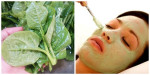Da trắng mịn màng chỉ sau 10 phút dùng rau mùng tơi