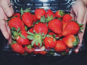 Răng trắng sáng như bọc sứ lại thơm tho tức thì nếu chà thứ này