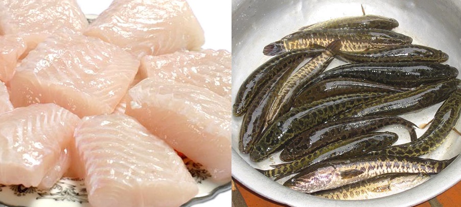 3 loại cá nhiều vitamin giúp con thông minh, IQ tăng vù vù, mẹ biết rồi thì mua ngay để bổ sung cho con không lại tiếc hùi hụi đấy!