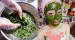 Trị mụn, dưỡng đẹp da chỉ nhờ một nắm lá 0 đồng