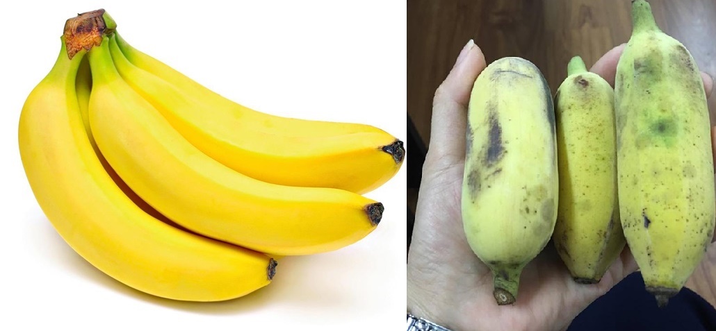 Giảm liên tục 7kg nhờ ăn chuối mỗi ngày