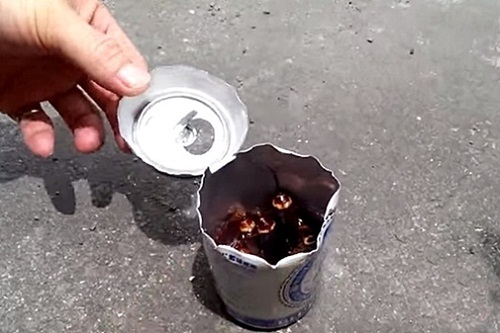 Không ngờ chỉ cần 1 lon bia uống dở của chồng, chị em cũng diệt được cả đàn gián trong nhà