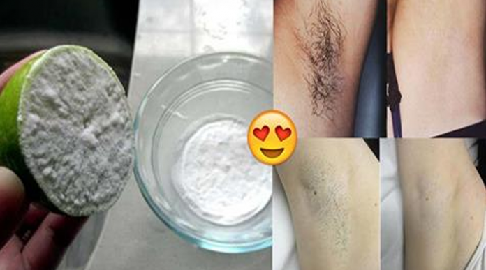 Nách như rừng rậm hay lổn nhổn như da gà cũng trở nên mịn màng không còn một cọng nhờ cắt chanh nhúng muối chà lên