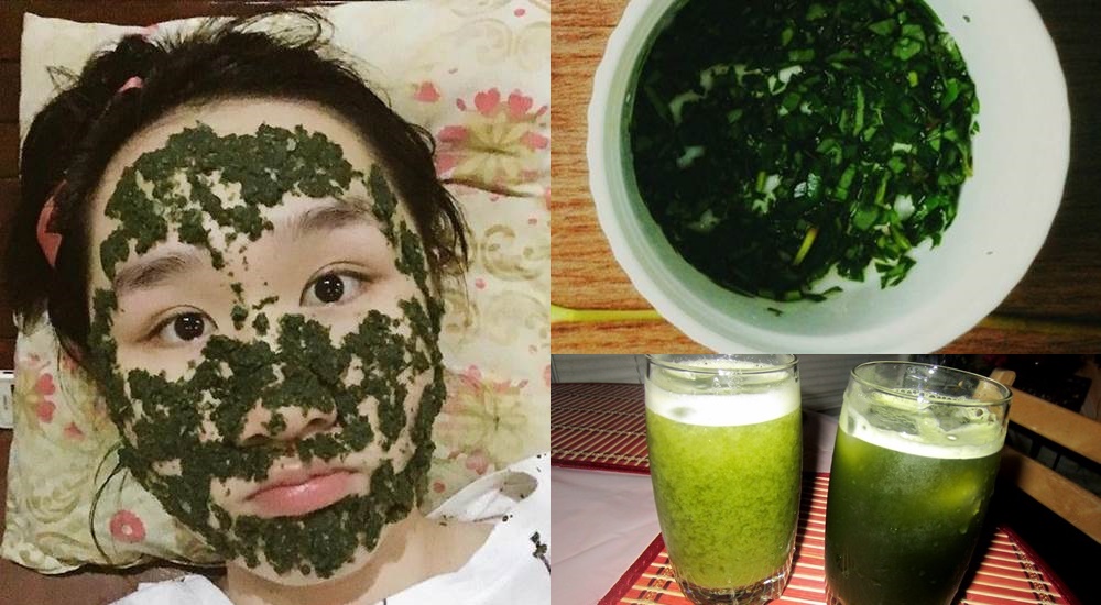 1 nắm rau diếp cá – 3 cách khiến mụn tự chui ra bằng sạch, thâm mụn mất biến và trắng mịn chỉ sau 4 ngày