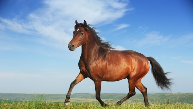 Phát ghen với 3 con giáp đi tới đâu cũng được quý nhân giúp đỡ, tiền bạc rủng rỉnh trong tháng 10/2017