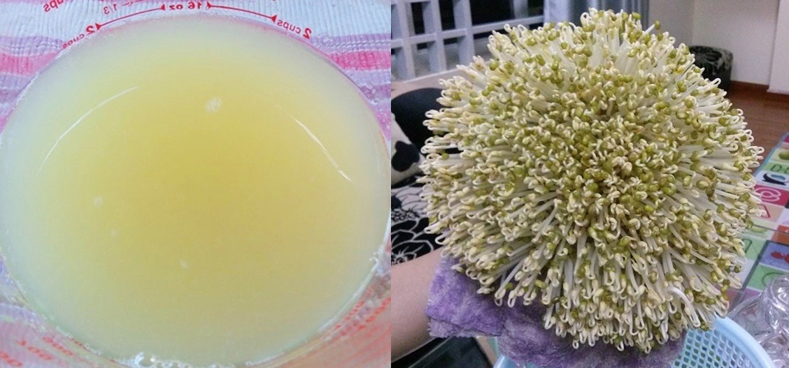 3 công dụng làm đẹp tuyệt vời của giá đỗ mà hội con gái nên biết