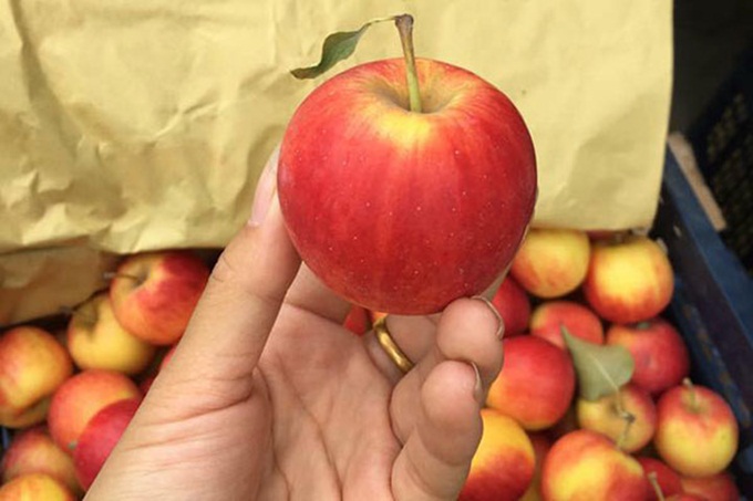 Eo thon, ngực nở, da trắng bật hẳn 2 thậm chí 4 tông chỉ cần ĂN LIÊN TỤC 5 loại quả này