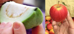 5 loại quả giúp dưỡng trắng da, eo thon, tăng size vòng 1 hiệu quả tại nhà