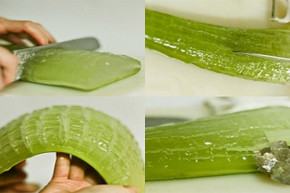 Da căng bóng, trắng nõn nhờ nha đam trộn với thứ này