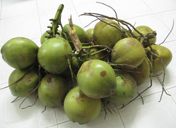 Da sạm xấu, dáng vóc &rsquo;ục ịch&rsquo; cũng trở nên trắng mịn, thon gọn nhờ uống nước dừa