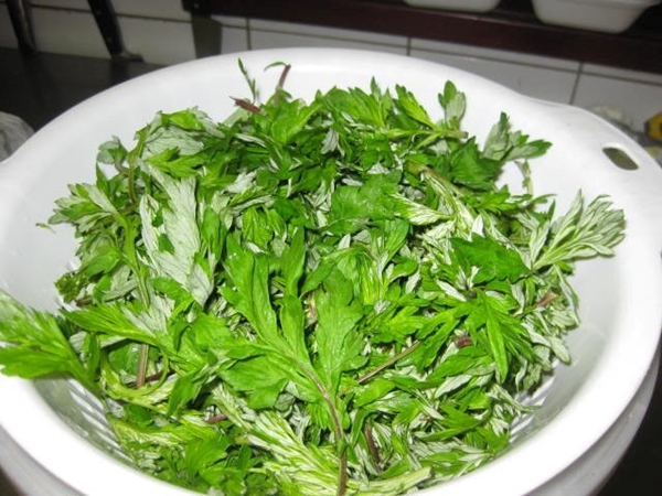 Dưỡng trắng da cấp tốc, nhanh hơn cả kem trộn nhờ 1 nắm rau này