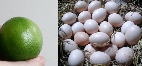 Đắp mặt nạ 2 lần/tuần mà da căng mướt như em bé, nám và tàn nhang cũng mờ đi 80&permil; với 1 quả trứng và 1 quả chanh