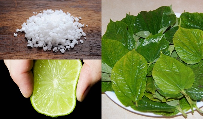 Độc đáo với phương pháp trị mụn, xóa sổ nám tận gốc nhờ 1 nắm lá lốt