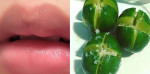 Chấm 1/2 quả chanh vào đường rồi thoa lên môi, từ thâm đen, bong tróc trở thành căng mọng, hồng hào, ai cũng tưởng tôi đi xăm