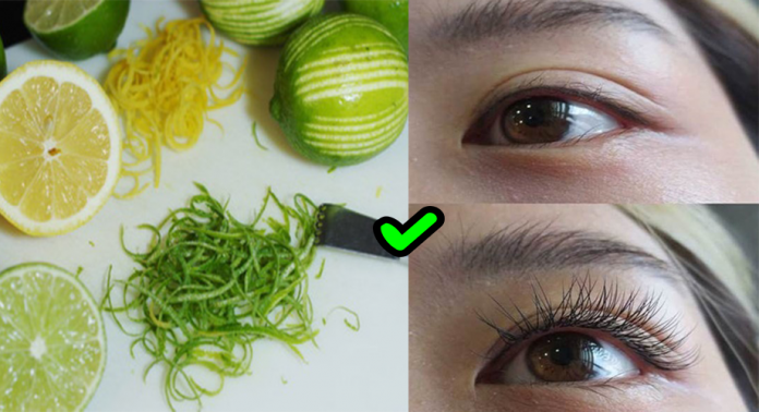 SAO PHẢI TỐN BAC TRIỆU NỐI MI RỒI BỊ RỤNG, CHỈ VỚI VỎ CHANH CÓ NGAY HÀNG MI CONG VÚT, DÀI QUYẾN RŨ